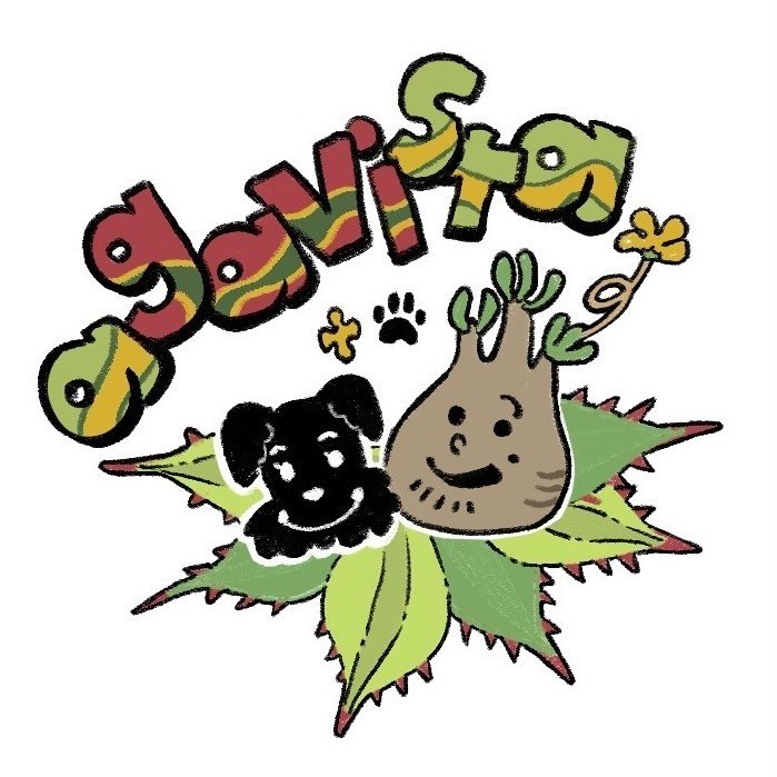 Grower #26 @agavista