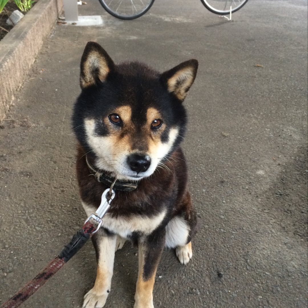 Grower #45 @mitake.bigmm