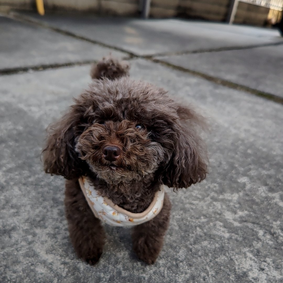 Grower #01 @ponta8835